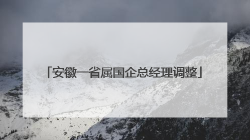 安徽一省属国企总经理调整